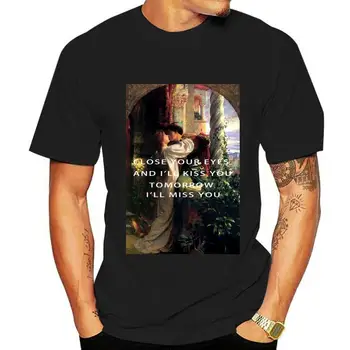 Мужская футболка с принтом, хлопковая футболка с круглым вырезом и коротким рукавом, женская футболка Romeo and Juliet Loving1